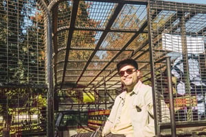 Da Santiago: Zoo del Parco Safari di Rancagua