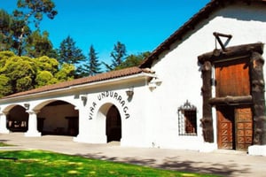 Desde Santiago: Tour a la bodega Undurraga con degustación