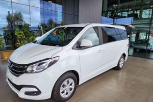 FRÅN TEMUCO FLYGPLATS: PRIVAT TRANSFER TILL PUCON eller vice versa