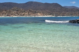 Heldagsudflugt til stranden - Totoralillo eller Herradura - La Serena - Coquimbo