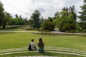 GUIDET TUR I VINSENTERET (UTEN SENSORISK MUSEUM)