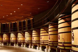 Luksusvinerier i Colchagua heldagstur