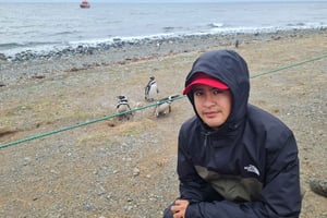 Punta Arenas: navigazione all'Isola Magdalena e passeggiata con i pinguini