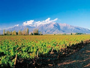 Maipo Valley