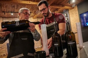 Palmilla: Haz tu propia ruta del vino