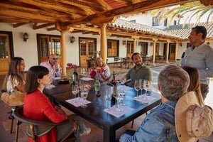 Palmilla: tour enogastronomico