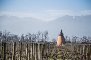 Piedra Sagrada Winery