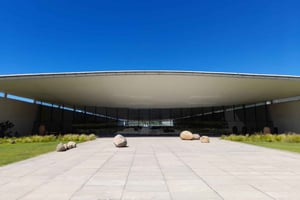 Tour privato del vino Esperienza olistica Viña Vik