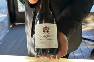 Privat vintur Marques de Casa Concha Concha