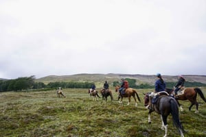 Puerto Guadal: Fossil Trail Horseback Ride with Box Lunch