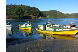 Puerto Varas: Puerto Montt & Puerto Varas Private Tour durch die Stadt