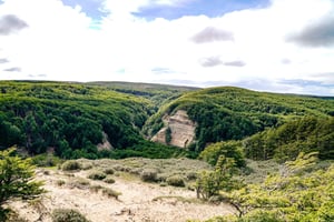 Punta Arenas: guidet fottur i Magallanes nasjonalreservat