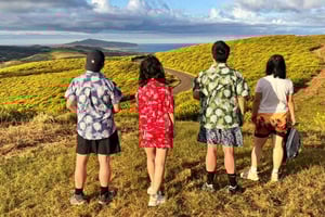 Rapa Nui: 3 arkeologiska utflykter med hotelltransfer.