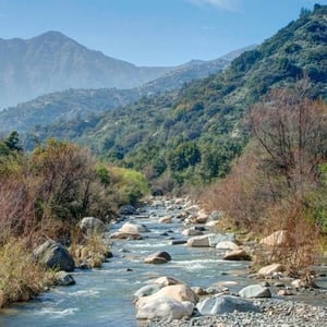 Rio Clarillo National Reserve