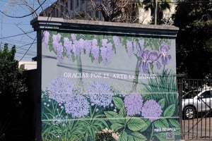 Roots and Routes: Providencia and its Neighborhoods