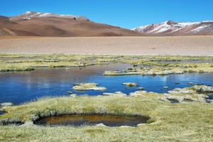 Ruta de los Salares - Tour guidato : San Pedro de Atacama - Cile