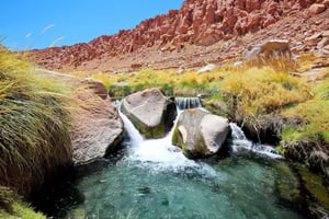 SAN PEDRO DE ATACAMA: PURITAMA HOT SPRINGS MED INDGANGSBILLET