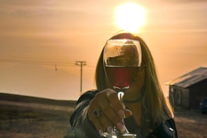 Santiago: Andes Mountains Sunset and Valle Nevado & Picnic