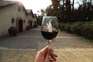 Santiago: Tour Viñedos Concha y Toro y Undurraga
