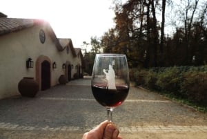 Santiago: Concha y Toro en Undurraga wijngaarden tour