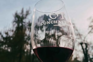 Santiago: Concha y Toro con trasferimento, degustazione e coppa regalo
