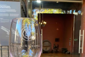 Santiago: visita la cantina Cousiño Macul