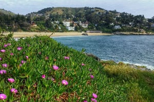 Santiago: Private Tagestour zum Strand Zapallar