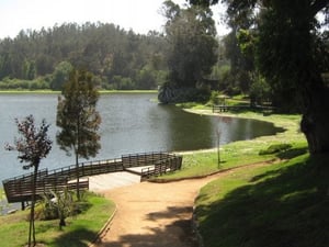 Lagune de Sausalito
