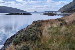 Semi-privat utflykt till Nationalparken Tierra del Fuego