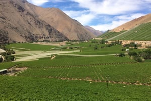 Den storslåede Elqui Valley Grand Tour
