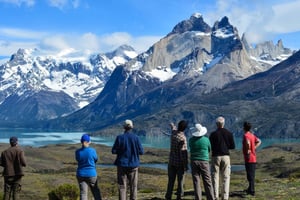 Torres del Paine Park dagsutflykt från Puerto Natales