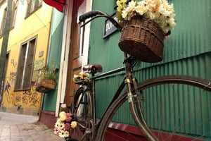 Passeio por Viña del Mar, Reñaca e Concon