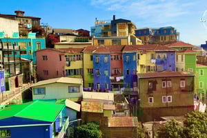 Tour Valparaiso + Viña del mar