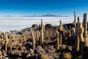 Uyuni Sal Flat: Uyuni - Atacama 3 dagar | Privat | Hotell