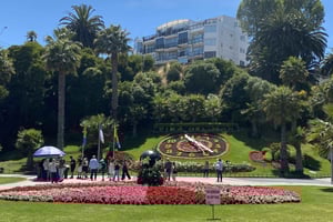 Valparaíso & Viña del Mar + vingård i Casablanca Valley