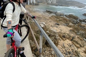 Viña del Mar: Sykkeltur langs kysten