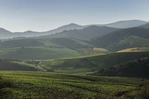 Viña Errazuriz: Private Tour with Wine Tasting + Portillo and Laguna del Inca