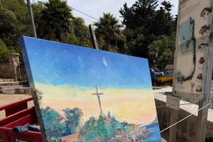 Zapallar: Pingvinobservasjon og tur på Papudo-strendene