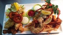 Allure Cafe and Gallery Restaurant  Kaikoura