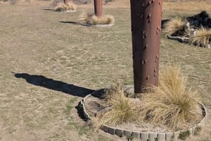 Однодневная поездка из Крайстчерча в Артурс-Пасс и Касл-Хиллс