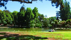 Ashburton Domain en Tuinen