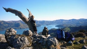 Banks Peninsula Track