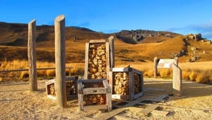 Cave Stream Scenic Reserve