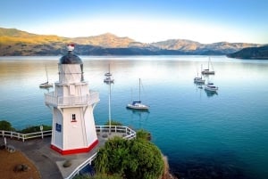Christchurch : Excursion d'une journée à Akaroa et dans la péninsule de Banks