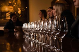 Из Крайстчерча: винный тур на целый день с обедом