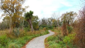 The Styx Mill Conservation Reserve