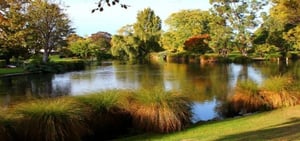 Guide des activités à Christchurch