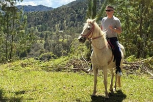 Passeio a cavalo 2 horas + Transporte privado + Fotos e vídeos + Oferta para os 5 primeiros a reservar.