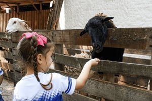 Barranquillan eläintarhan pääsylippu