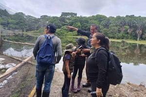 Fugletitting i Acacías Meta